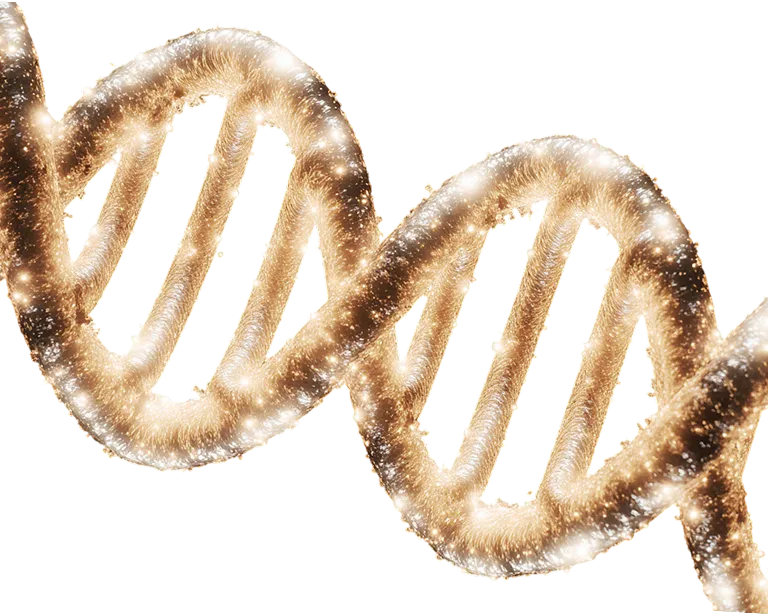 section-company-img-m