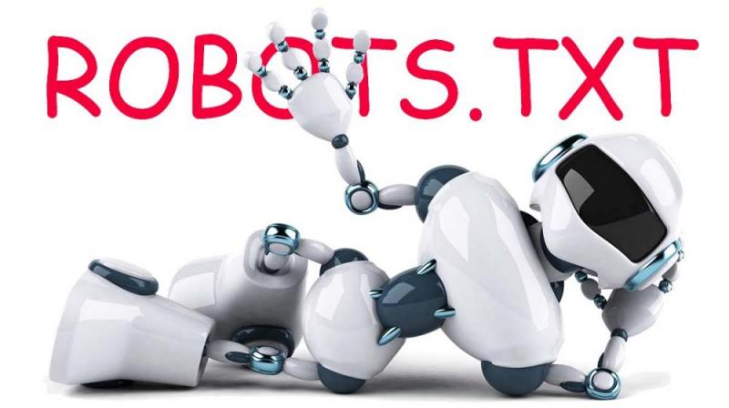 Что такое robots.txt и зачем он нужен в Северодвинске